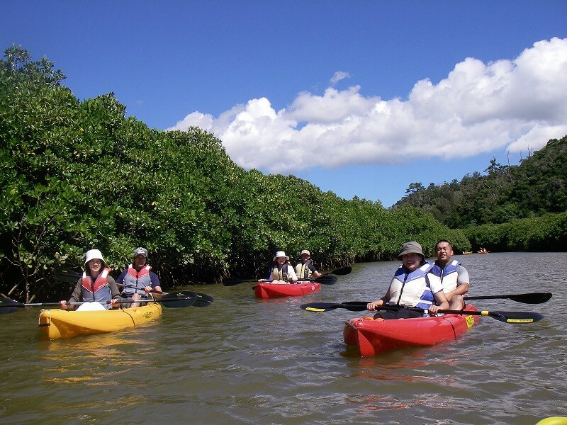 【ホテル送迎付き：宿泊者限定】亜熱帯の自然が広がる比謝川でマングローブ探検カヤックツアー！のアイキャッチ画像