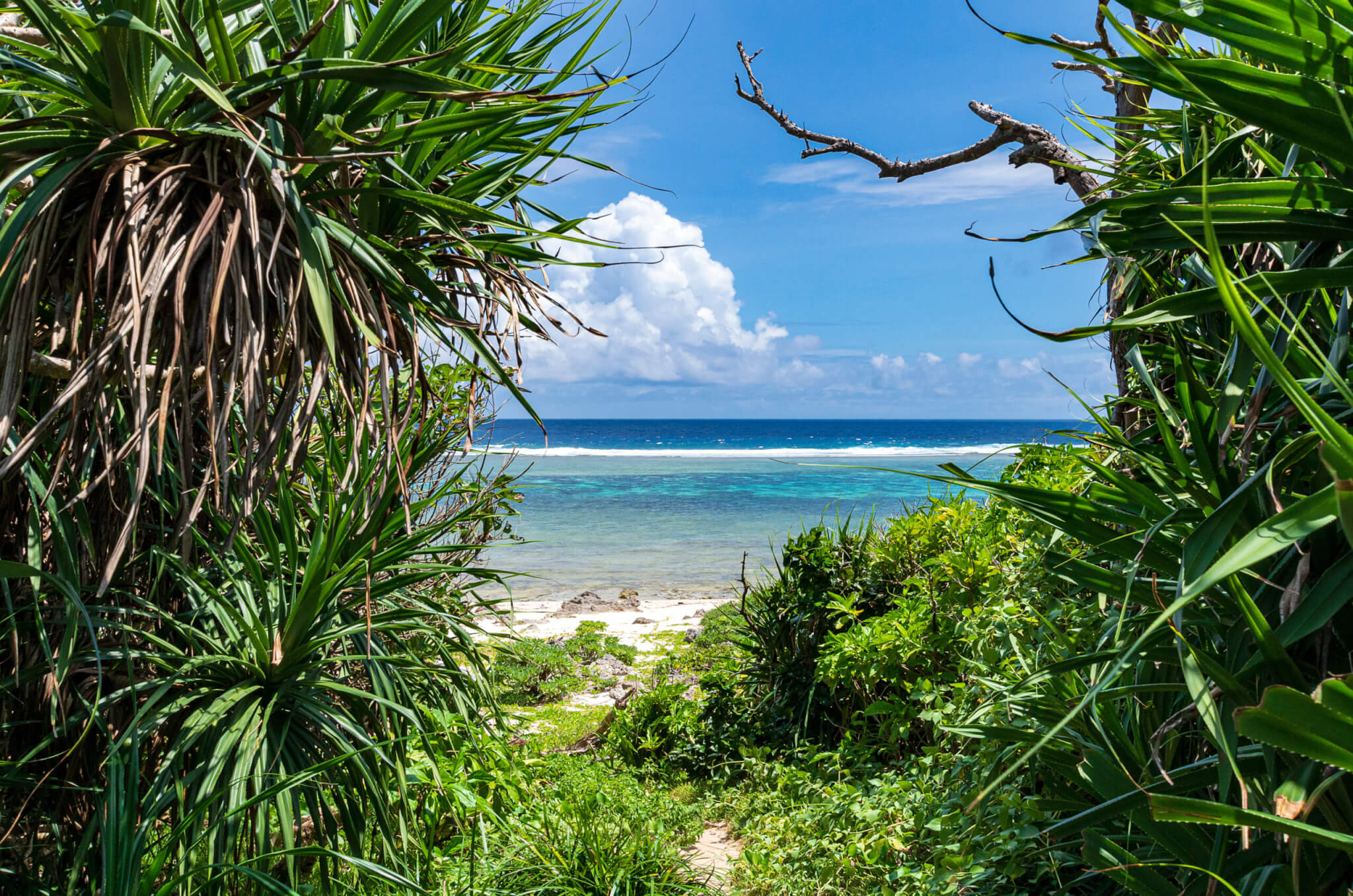 【ホテル送迎付き：宿泊者限定】琉球神話が残る 神の島！<br>ガイドと巡る「久高島（くだかじま）」満喫ツアーのアイキャッチ画像