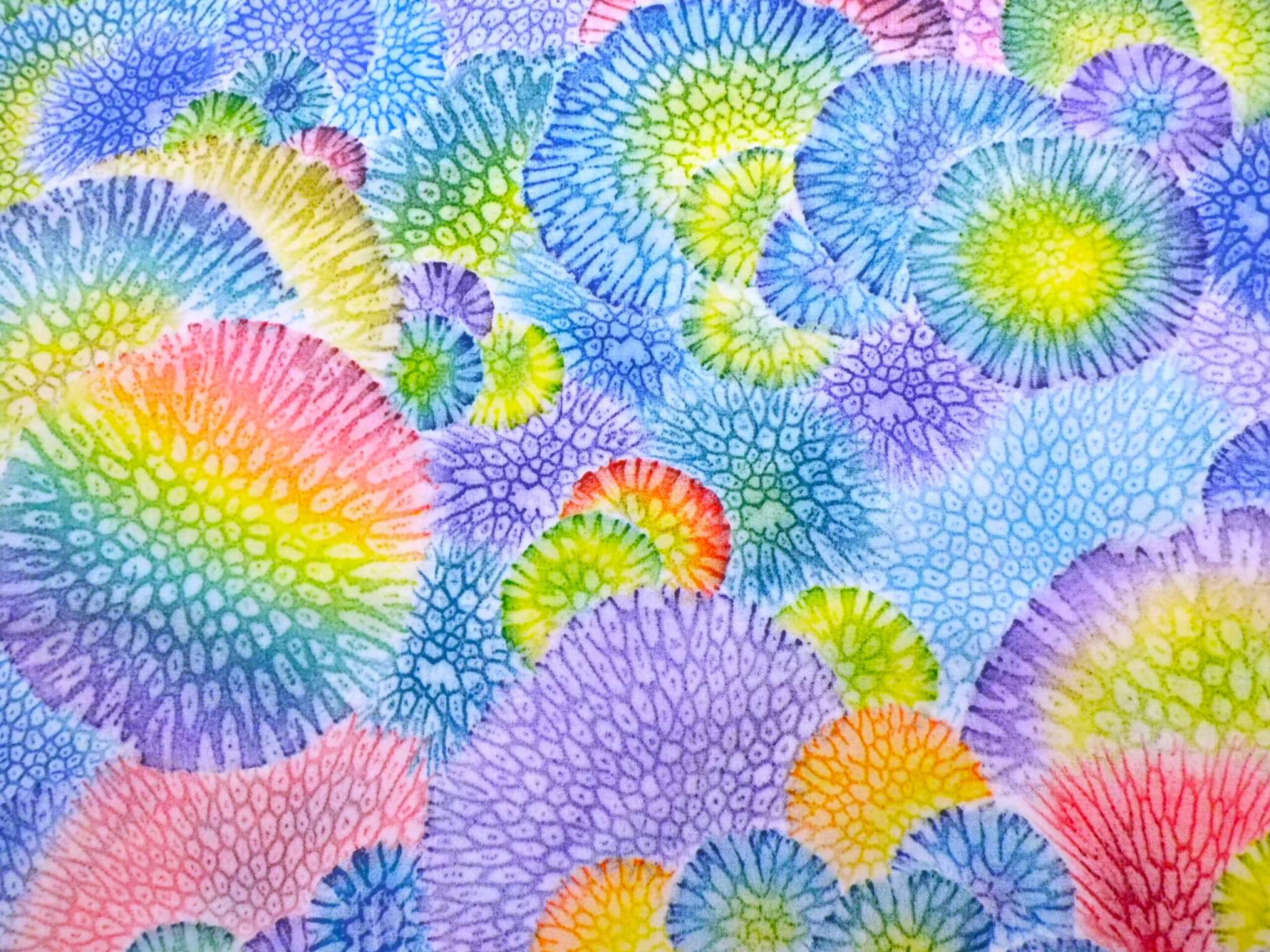 の画像1